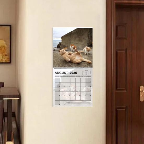 2026 Cat Ball Calendar Jan.2026 - Dec.2026 12 Monthly Wall Calendar with Hilarious Feline Moments Gag Gift for Cat Lovers