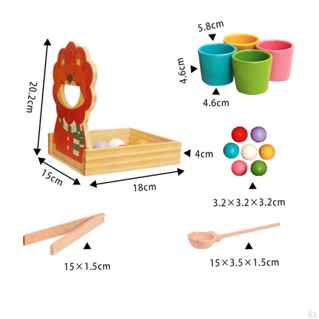 Bälle in Bechern mit Zange Kindzentriertes Sortierbecher-Spiel Hand-Auge-Koordination Holz