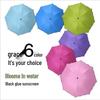 Water-Activated Blooming Three-Fold Sun & Rain Umbrella for Women, Vinyl, Dual-Use, Printed Logo, Portable