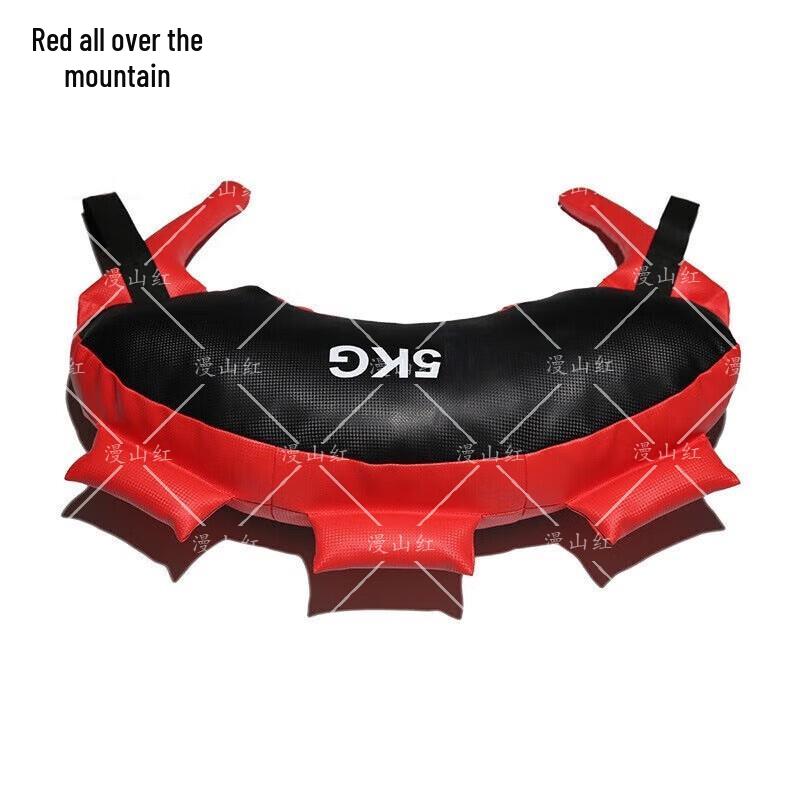 Weighted Bulgarian Training Bag