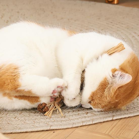 Yousheng Cat Chew Toy Bite-resistant Natural Materials Refreshing Breath Pet Cat Kitten Teeth Grinding Stick Pet Supplies