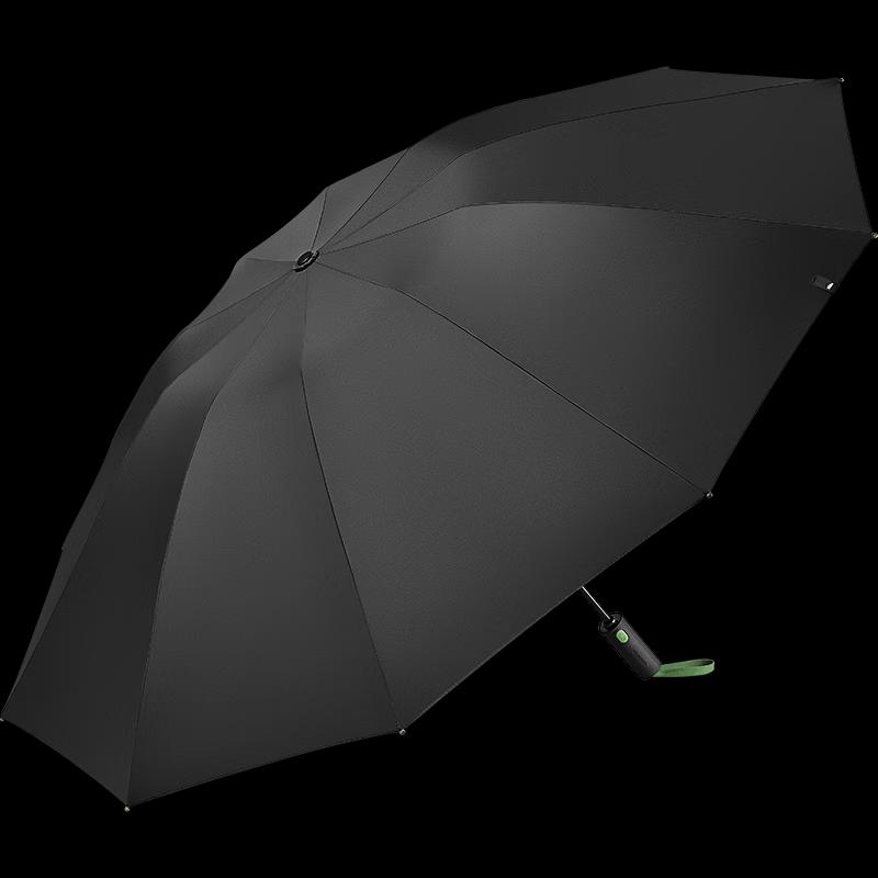 Beneunder Reinforced Fully Automatic 10-Rib Tri-Fold Umbrella