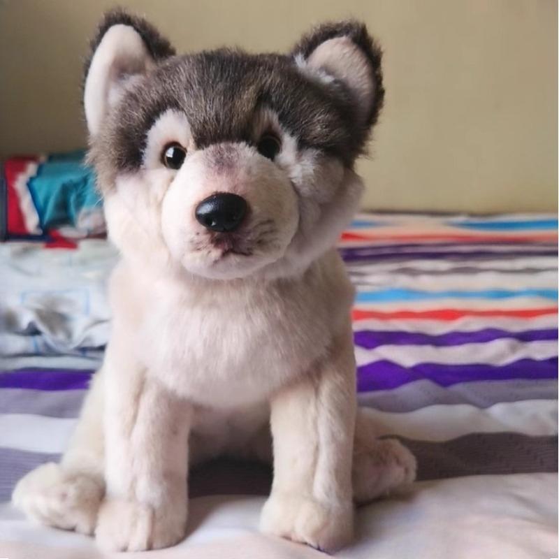 38cm Simulation Wolf Dog Plush Toy Realistic Animal Plush Pet Soft Pillow Home Decoration Series Children's Toy Birthday Gift