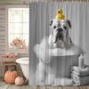 1pc Bulldog in Bathtub Shower Curtain with Rubber Duck - Cute English Bulldog Bath Decor, Polyester Fabric Bathroom Curtain 70