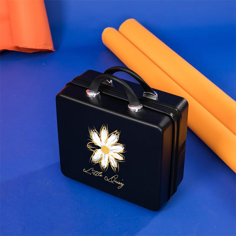 Internet Celebrity Daisy Suitcase Women's Large Capacity Makeup Bag 16 Inch Suitcase Travel Storage Box Portable Gift
