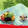 Picnic Blanket Waterproof Beach Rug Washable Lightweight  for Hiking Traveling Outdoor Camping Parks