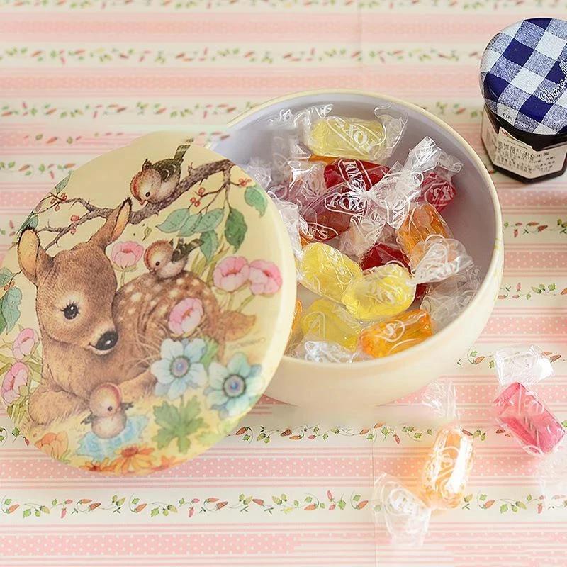 Tinplate Round Mousse Cake Macaron Dessert Tin Box Tea Sugar Coffee Storage Box Kitchen Flower Drawing Chocolate Candy Gift Case