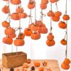 Orange Artificial Persimmon 8 Fruit Persimmon Pendant Simulation Persimmon Fruit  Restaurant