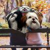 A Group of Dogs  pattern, automatic folding umbrella, portable and foldable design, 8 ribs, a Christmas or birthday gift.