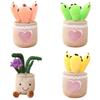 Creative Plant Pot With Cake Mushroom And Tulip Design
