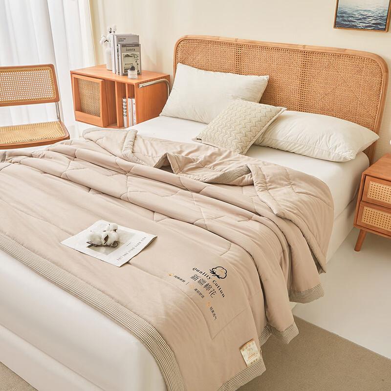 Yalu Xinjiang Cotton Summer Quilt