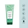 Rene Furterer Forticea Super Volume Shampoo Duo 200ml  +random 40mlx2 Gift 