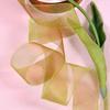 5 Yards Sheer Chiffon Ribbon Suitable for Gift Wrapping, Wedding Decor, Home Decor, Girl Hair Accessories Handmade DIY