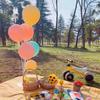 Smiley Daisy Balloon Set: Picnic & Birthday Photo Props for Kids