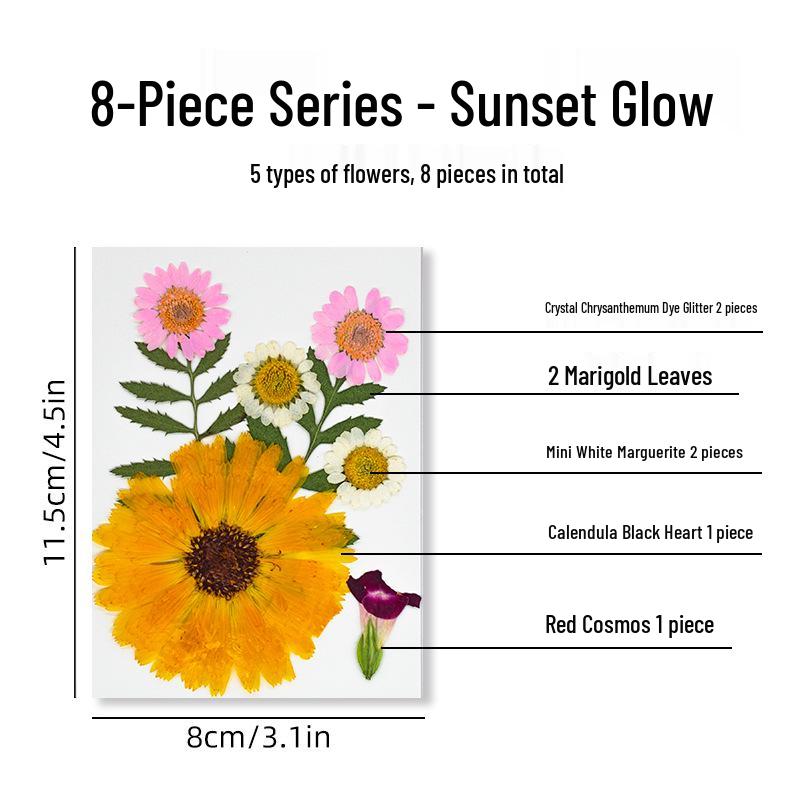 DIY Dried Flower Specimen Sticker Set for Kids: Handmade Pressed Flower Frames & Resin Bookmark Craft Kit