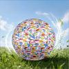 Mr Man Colorful Creatures Size 5 Soccer Ball,Indoor/Outdoor Suitable for Training Matches Tournaments Practice Games Perfect Gift for Fan