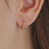 [14K Gold] Duo & Ring Earrings