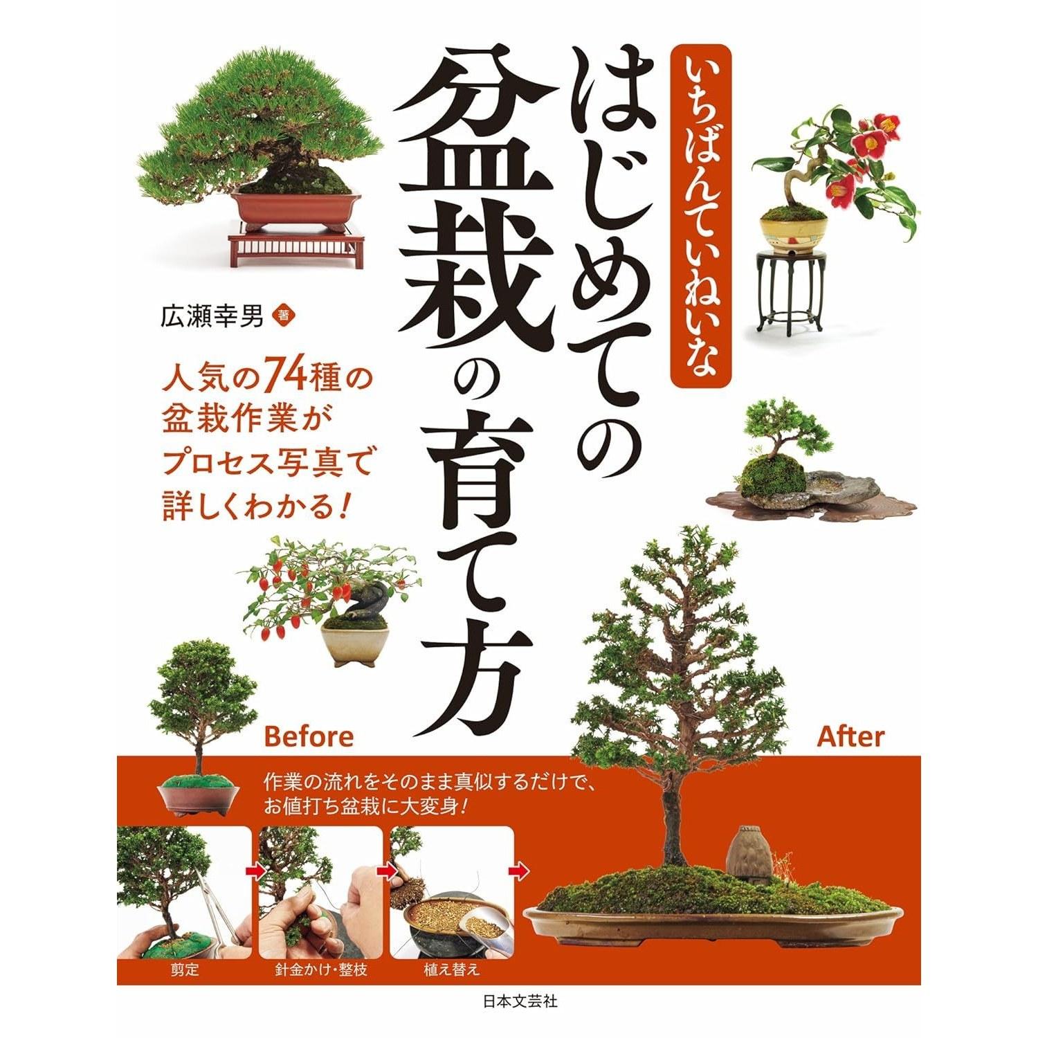 most careful way grow bonsai beginners.