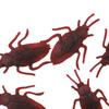 100Pcs Fake Roaches Toys Lifelike Creative Simulation Party Favors Funny Pp Artificial