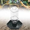 Reptile Water Feeder Automatic Dispenser Aquarium Ornament Large Waterer Terrarium Bowl for