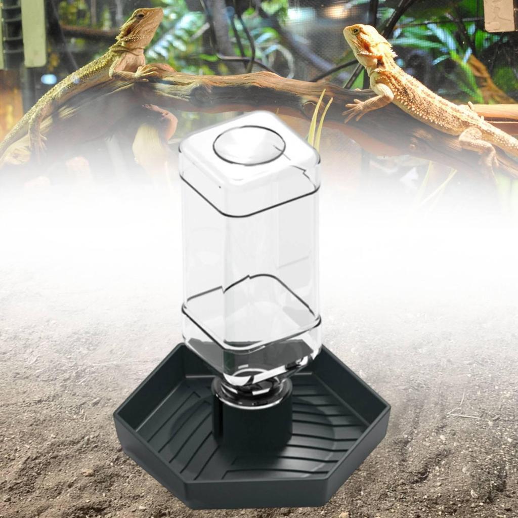 Reptile Water Feeder Automatic Dispenser Aquarium Ornament Large Waterer Terrarium Bowl for