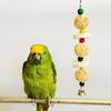 Bird Pet Bites Toy Parrot Macaw Luffa Bell Swing Scratcher Climb Toys Cockatiel