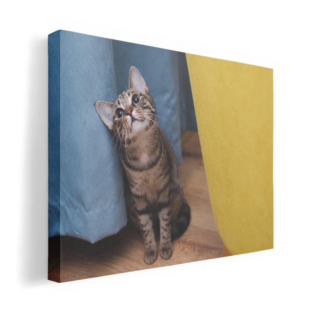 

Art 420mm x Wall Wooden Stylish Interior Animal Photo Panel, Picture, Painting, Decoration, igsticker, 297mm, A3, Photo, Hanging, Frame, Decor,