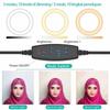LED Selfie Ring Light 10 inch USB Plug 3 Color Light Photography Light Video Recording Direct Broadcast Fill Lights