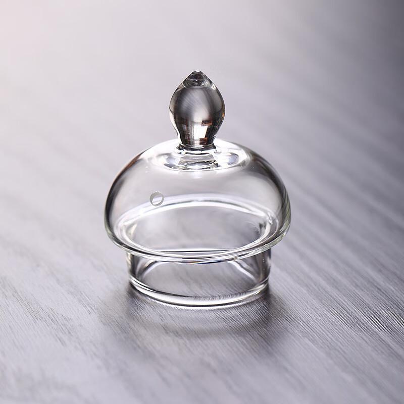 High Borosilicate Glass Teapot Set