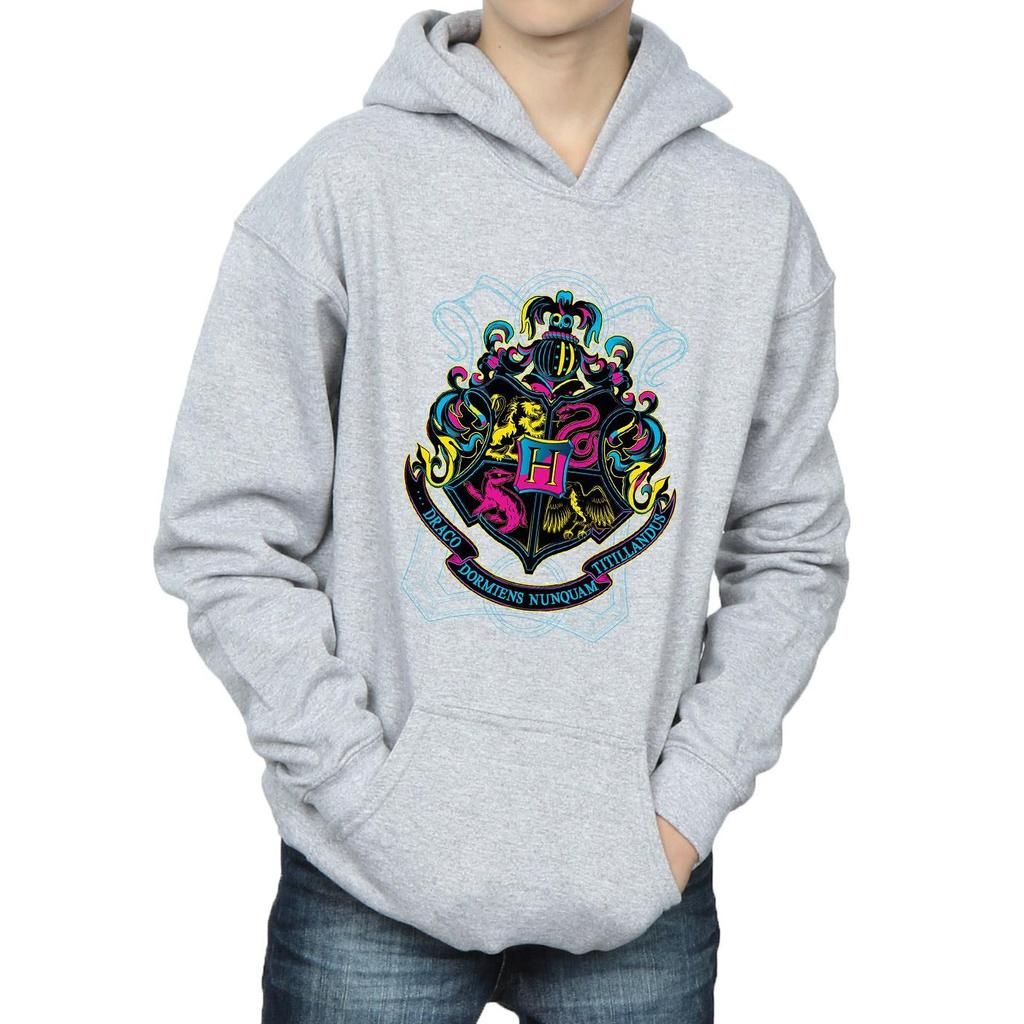 Harry Potter Boys Neon Hogwarts Crest Hoodie