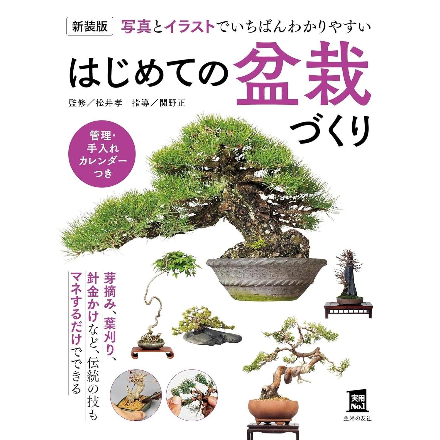 Edition Beginners Guide Bonsai (Practical No. 1 Series)