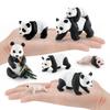 Educational Panda Growth Cycle Static Model Toy For Kids Realistic Pvc Figures