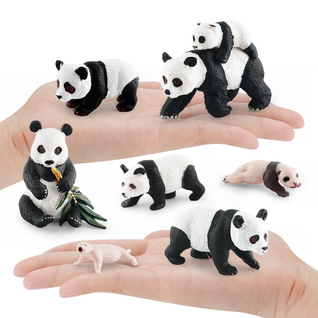Educational Panda Growth Cycle Static Model Toy For Kids Realistic Pvc Figures