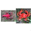2 Pieces Plastic Artificial Animals Marine Figurines Model Home Educational