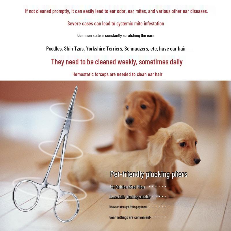 Tierohrhaarentfernungszange für Hunde & Katzen (Teddy-Stil Hämostatisch)