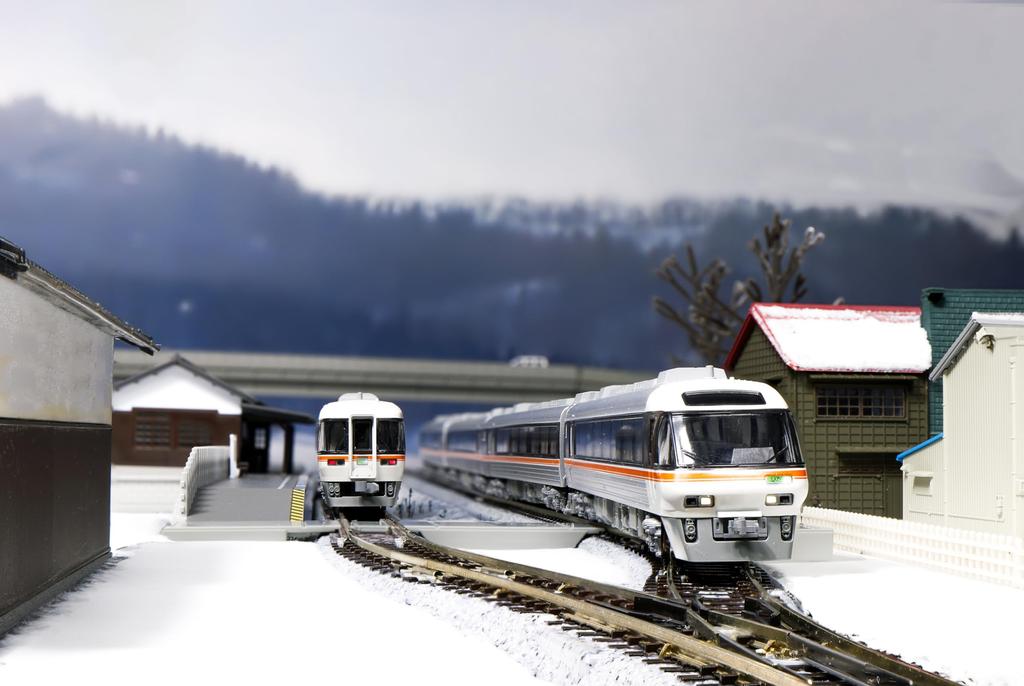 KATO N Gauge Kiha 85 Series Wide View View Nanki Basic Set Railway Model Diesel Car Hida/Wide 4-Car 10-1886