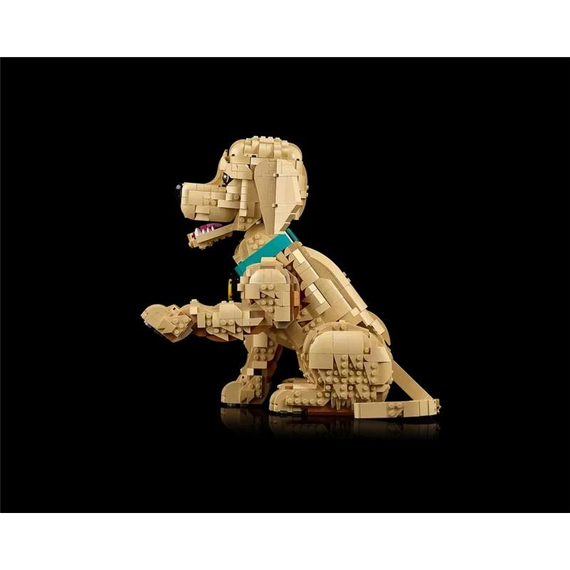 DIY2102pcs icon golden Retriever puppy pet model blocks, lifelike puppy building blocks display, holiday gifts for animal lovers