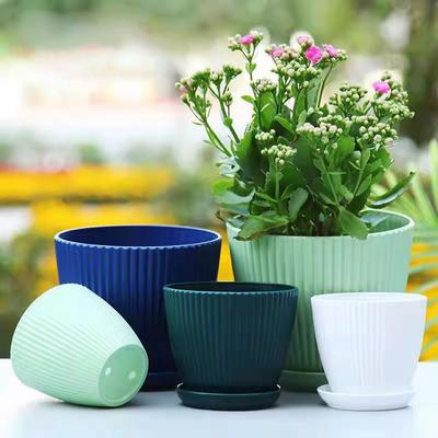 Deko & Wohnaccessoires – Dekorative Blumentöpfe
