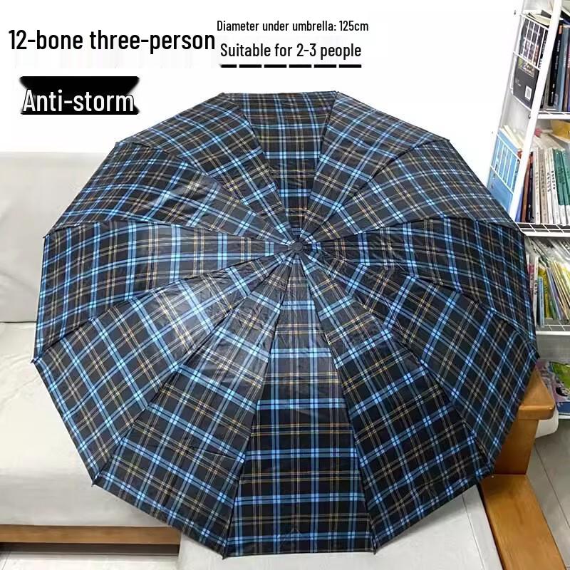 Reinforced Windproof Manual Folding Umbrella - 10-Rib, Large