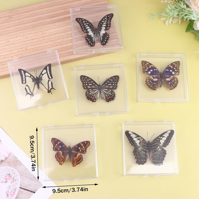 1Pcs Insect Specimen Butterfly Specimen For Girls, Children s Day, Teachers Day, Exquisite Gifts, Home Decor
