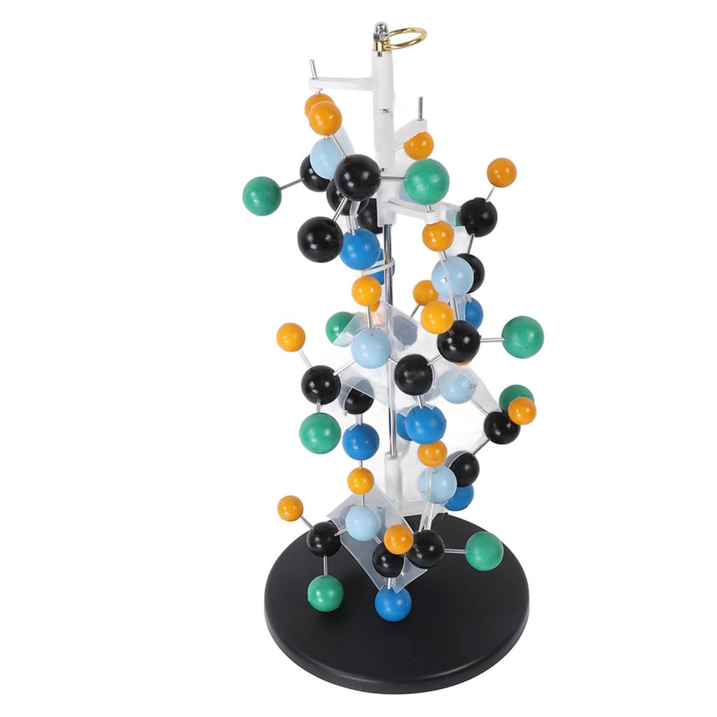 Proteinmolekülmodell aus Kunststoff QH3212‐2 Molekülstrukturmodell für den Unterricht in der Schule