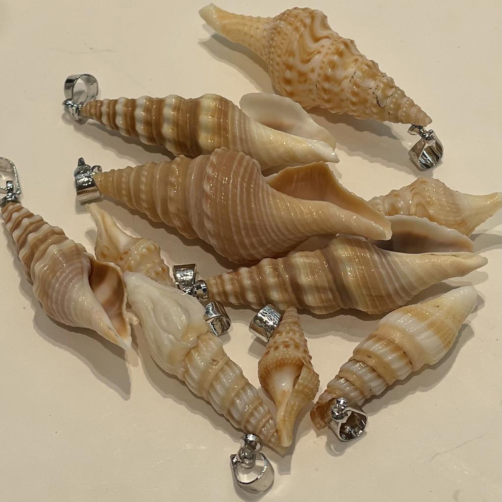 10Pcs Natural Mini Channeled Whelk Shell Charms 8×24~16×45mm Seashell Pendants With Silver Bail Beach DIY Jewelry