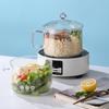 1500ml High Borosilicate Glass Soup & Noodle Pot with Handle