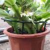 4-32Pcs 14*14cm Plastic Plant Support Pile Stand Plant Support Pile for Flowers Greenhouses Arrangement Fixing Rod Holder Garden Tools