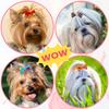 30PCS Beauty Dog Bow with Rubber Band Dog Hair Accessories Handmade Movable Puppy Bows for Dogs and Cats Cute Pet Accessories
