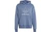 Adidas Adicolor Outline Trefoil Hoodie IR7991