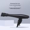 LISM 1900W Ionic Hair Dryer