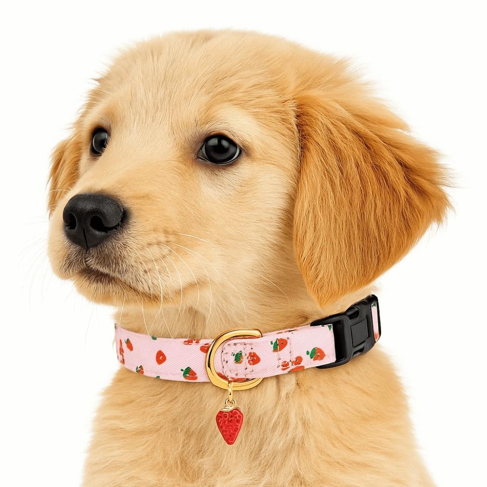 Soft Dog Strawberries Collar Fruit Print Cat Watermelon Collar Durable Pet Chain  Pet Accessories