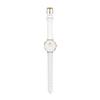 Daniel Wellington Classic Petite Bondi White Women's 32mm Watch DW00100189