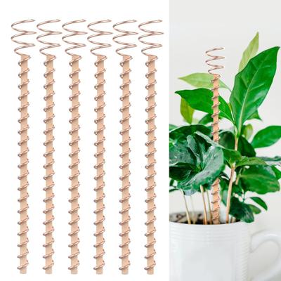 Electroculture Plant Stakes Copper Gardening Antenna Stakes Spiral Copper Wire On Wooden Stakes for Electroculture Plants Fruits Vegetables